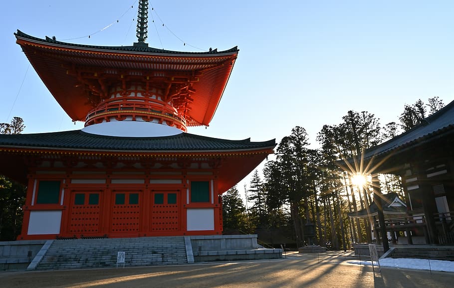 asahi, temple, japan, world heritage site, buddhism, built structure, architecture, building exterior, tree, sky