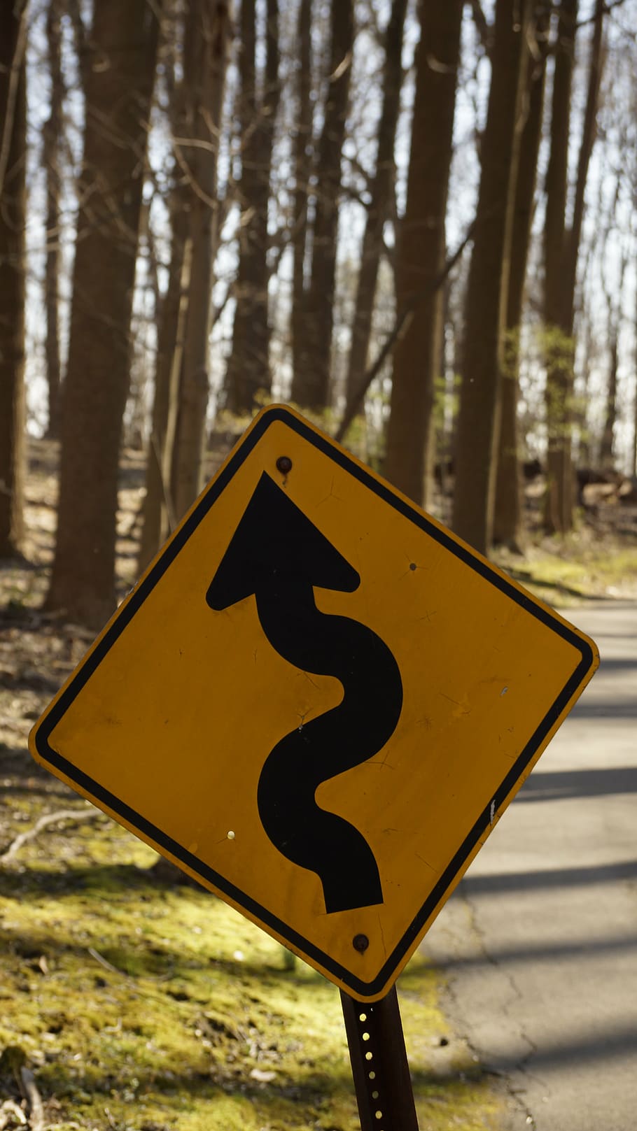 tanda, jalan, kuning, melengkung, peringatan, bahaya, tanda jalan, roadsign, kayu, jalur sepeda