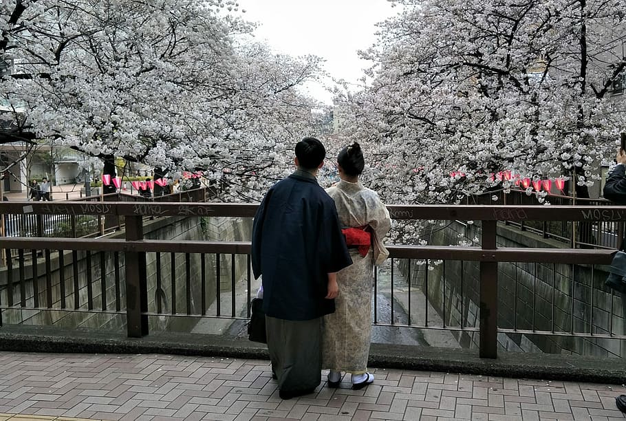 Japan, Kimono, Sweet Heart, japan sweet heart, tree, rear view, flower, springtime, full length, real people