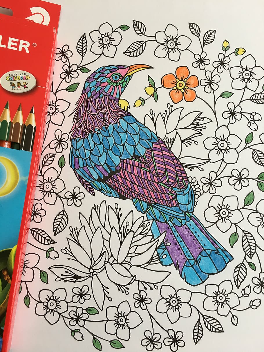 colouring in, pencil, drawing, colorful, color, creative, colour, blue, bird, purple