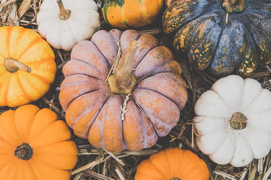 labu, musim gugur, dekorasi, halloween, makanan, buah, panen, Oktober, syukur, warna-warni