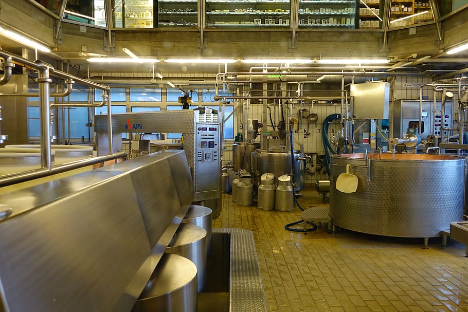 pabrik keju, pembuatan keju, pertunjukan susu keju emmental, affoltern, emmental, switzerland, produksi keju, teknologi, pabrik, di dalam ruangan