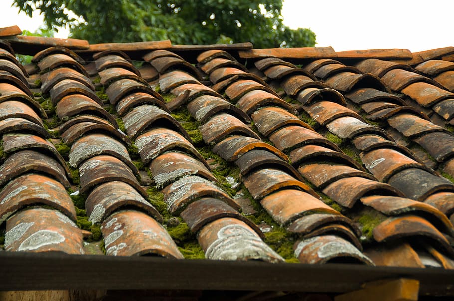 telhas de telhado marrom, telhado, telha, rústico, casa, arquitetura, construção, coberturas, exterior, vermelho