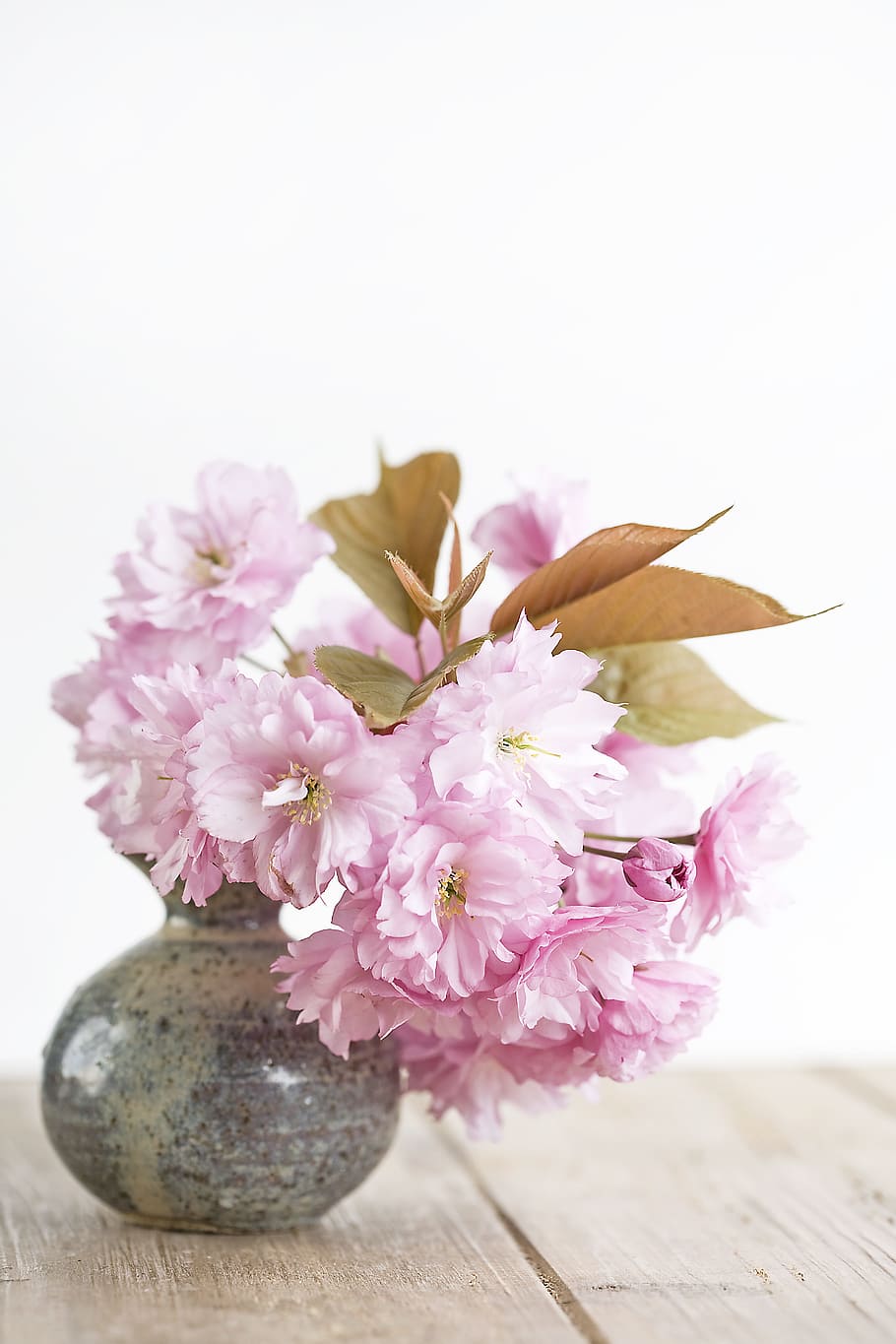 pink, petaled flowers, gray-and-brown, ceramic, vase, flowers, flower, flowering plant, pink color, plant