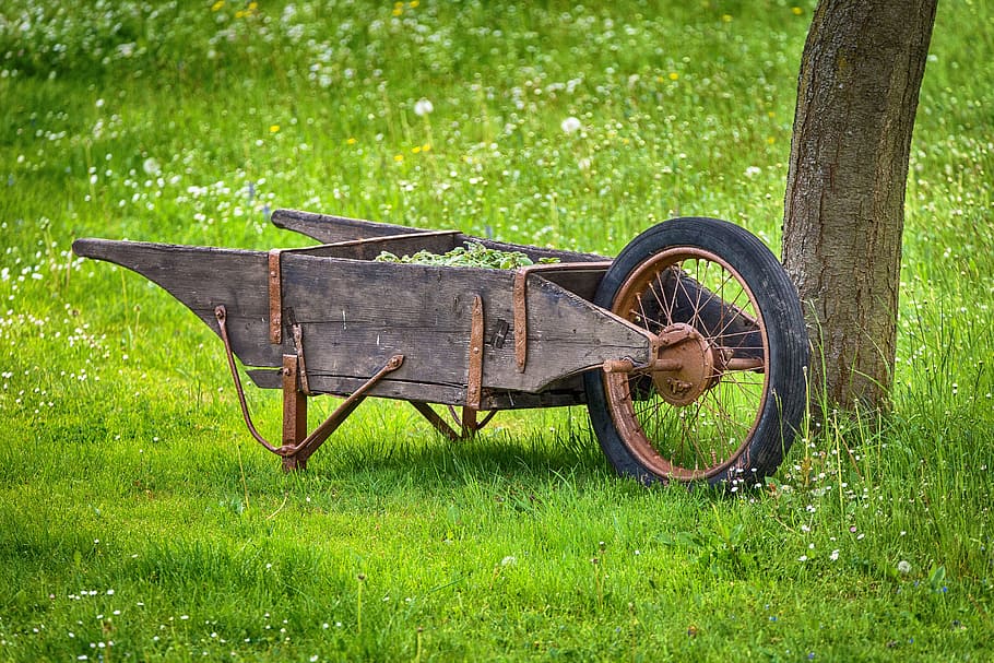 focus photo, brown, wooden, wheelbarrow, Cart, Garden, Tool, Sliding, Barrow, Work, garden