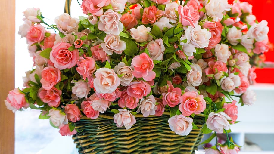 bouquet de fleurs, rose, flowers, congratulations, floral, gift, flowering plant, flower, plant, beauty in nature