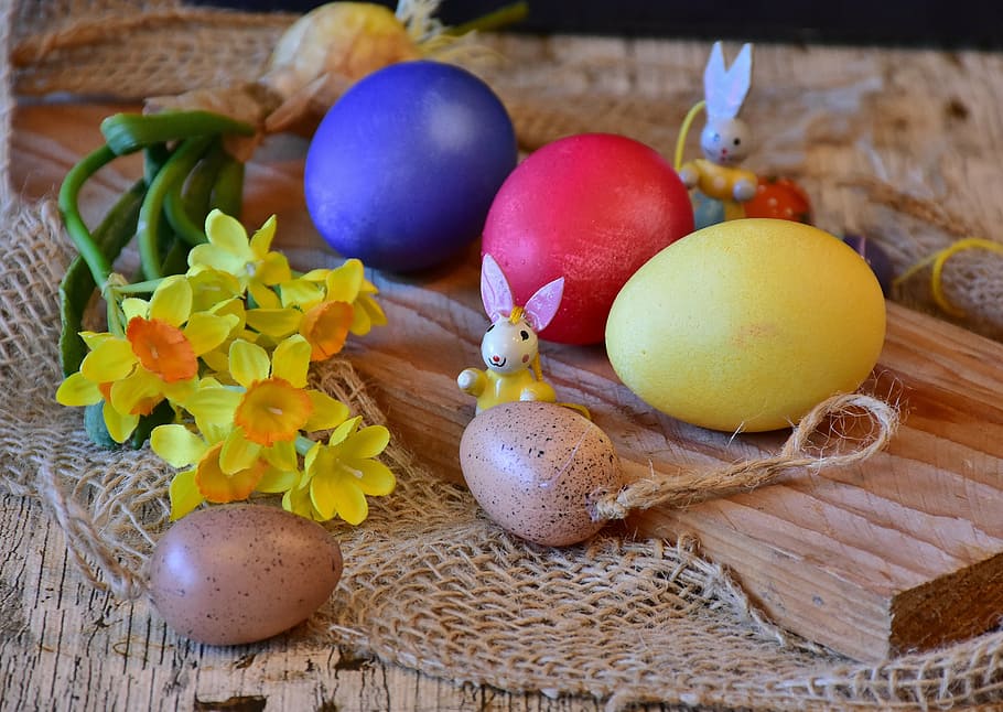 cinco, ovos comedor de cores sortidas, mesa, ovo, ovos de páscoa, personalizado, colorido, primavera, saudação de páscoa, pintura de ovos de páscoa