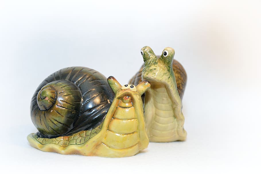 Worm, Snail, Conch, Garden, slowly, spiral, invasion, snail shell, race, background