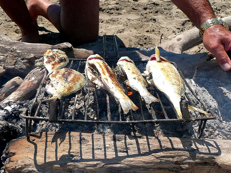 person grilling fish, Grill, Fish, Fishing, food, barbecue Grill, barbecue, cooking, grilled, meat