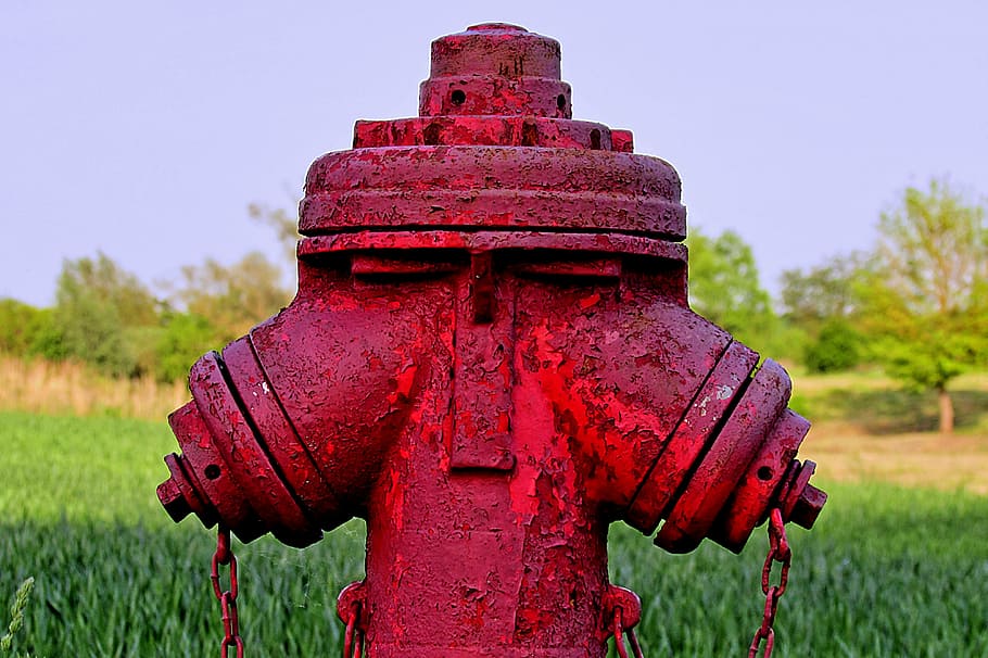 hydrant, water connection, fire extinguishing system, hdr image, red, metal, focus on foreground, fire hydrant, plant, grass