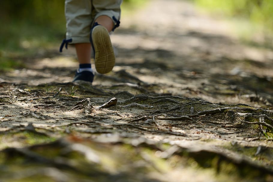 Child, Wandering, Path, Poland, the path, hiking trail, holiday, hiking trails, tour, forest road