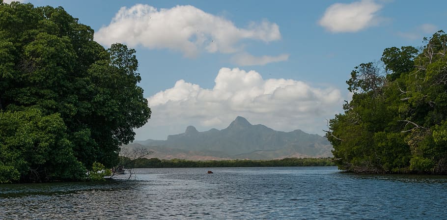 body, water, trees, la restinga, lagoon, mangroves, hills, macanao peninsula, venezuela, scenic