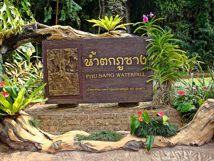phu sang, phayao, thailand, text, western script, plant, communication, nature, growth, grave