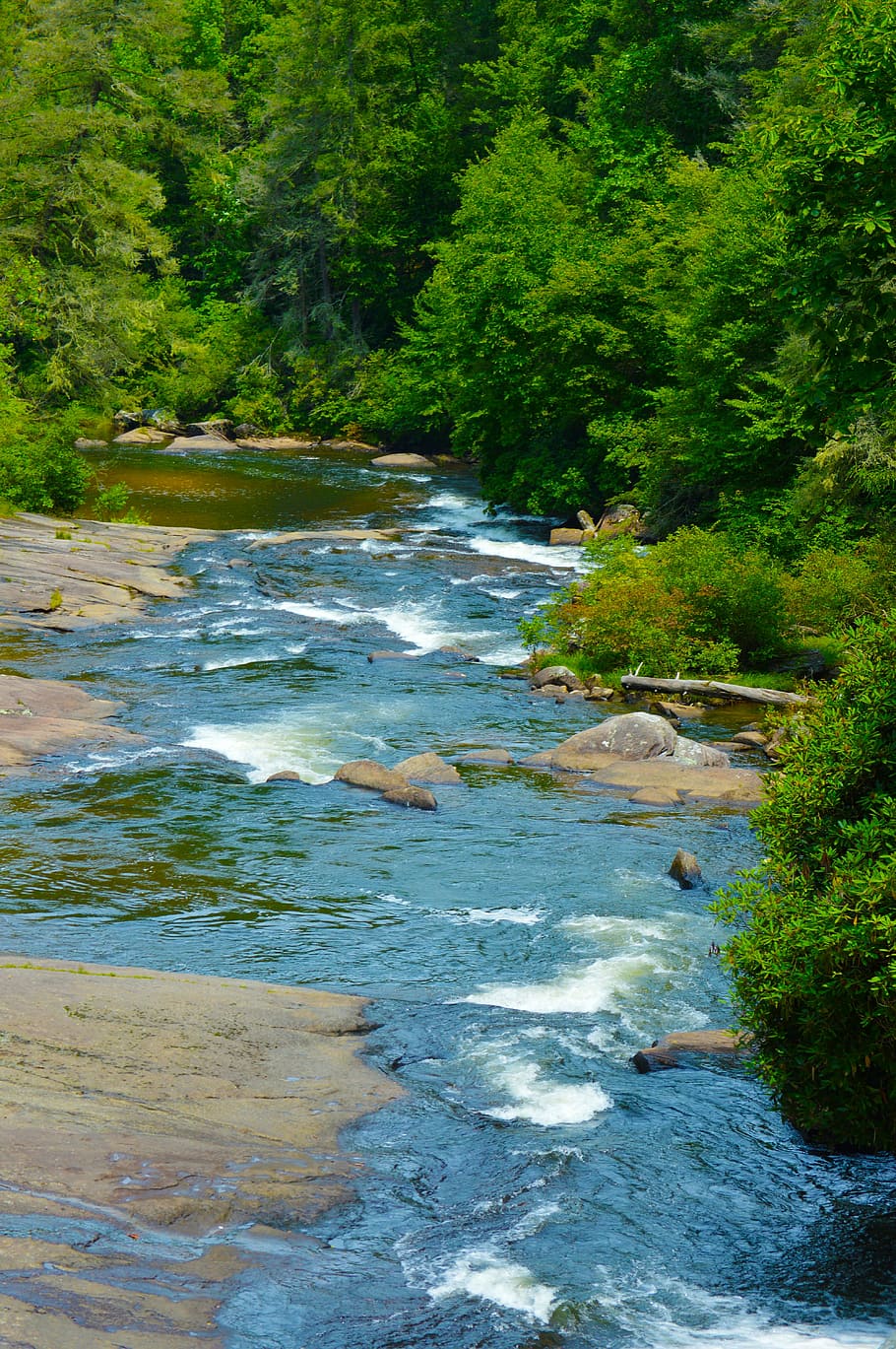 river, forest, water, dupont, dupont forest, waterfall, carolina, flowing, mountains, appalachian