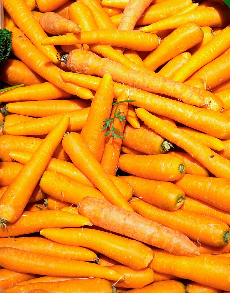 zanahorias, vegetales, sanos, bio, alimentos, frescos, Comida, comida y bebida, frescura, alimentación saludable