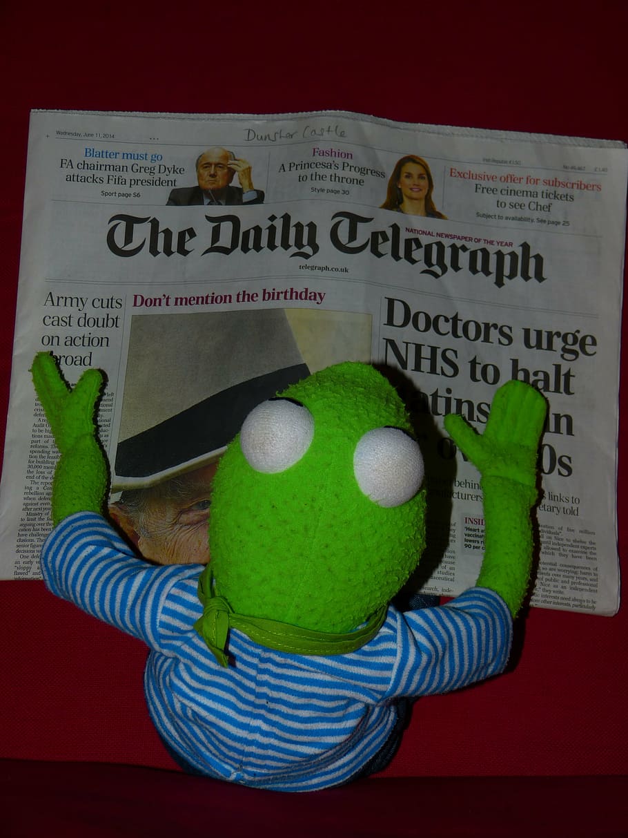 newspaper, kermit, frog, read, daily telegraph, doll, english, england, united kingdom, text
