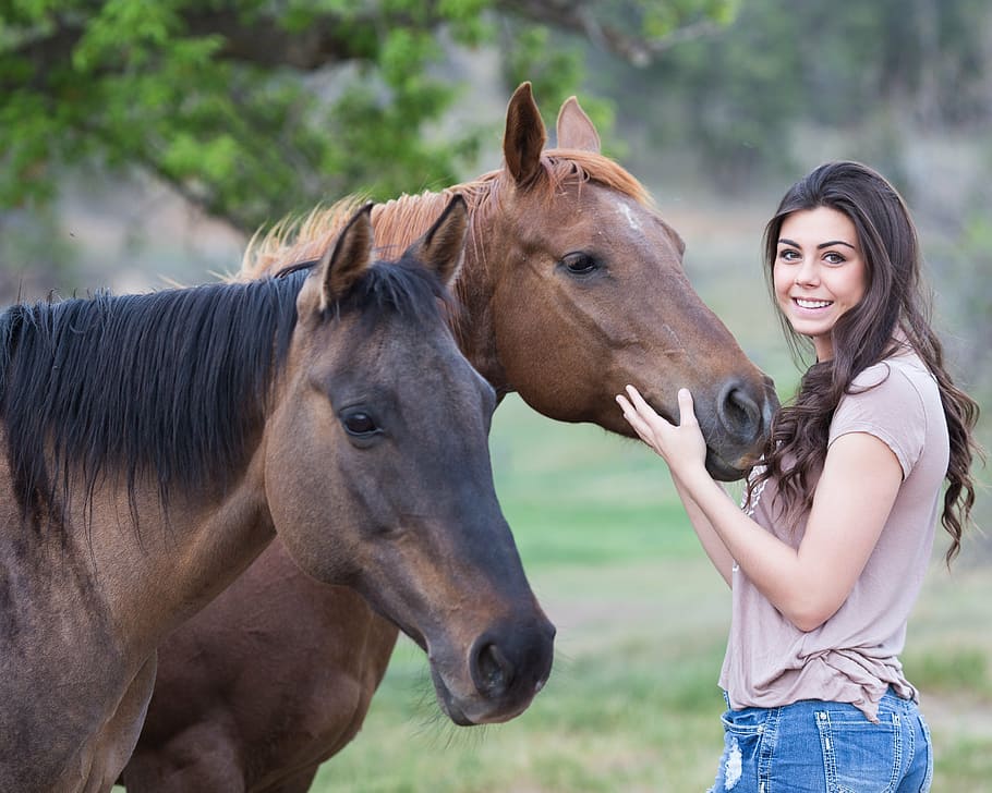 woman, holding, head, brown, horse, field, daytime, horses, girl, animal