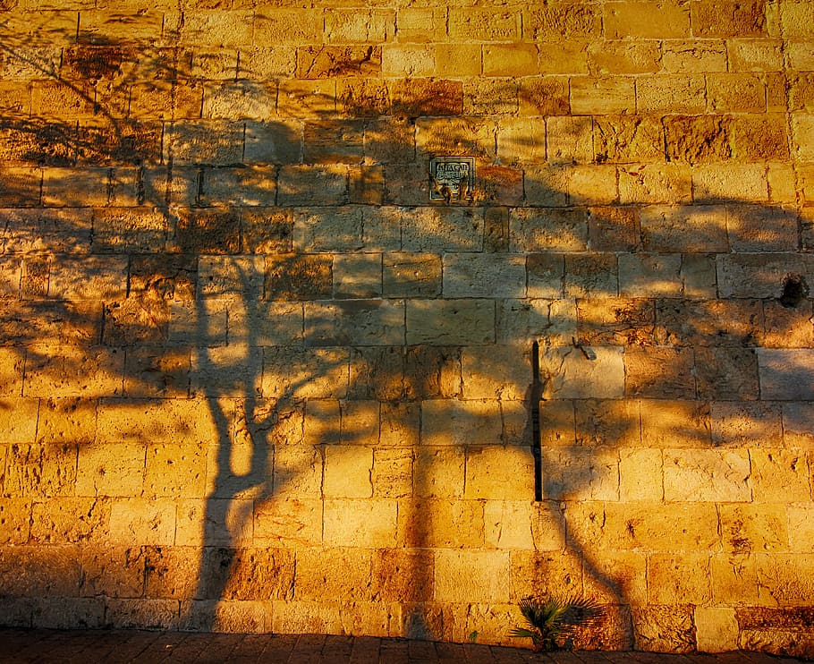 shadows, trees, red, brick wall, tree, wall, israel, sun, sunset, light