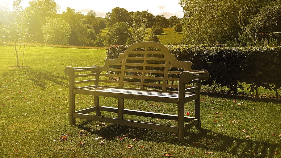 bank, seat, rest, wood, sit, park, relax, sunset, landscape, idyllic