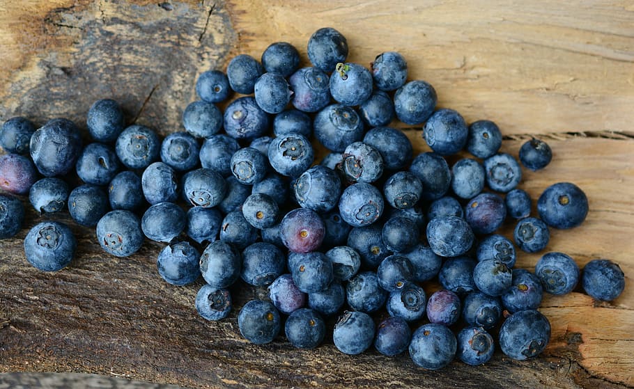 blueberries, berries, fruit, fruits, berry, blue, healthy, forest, food and drink, healthy eating