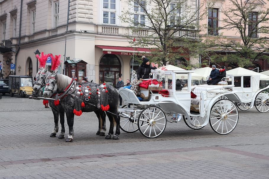 horse, horses, tandem, carriage, krakow, entertainment, history, city, building exterior, built structure