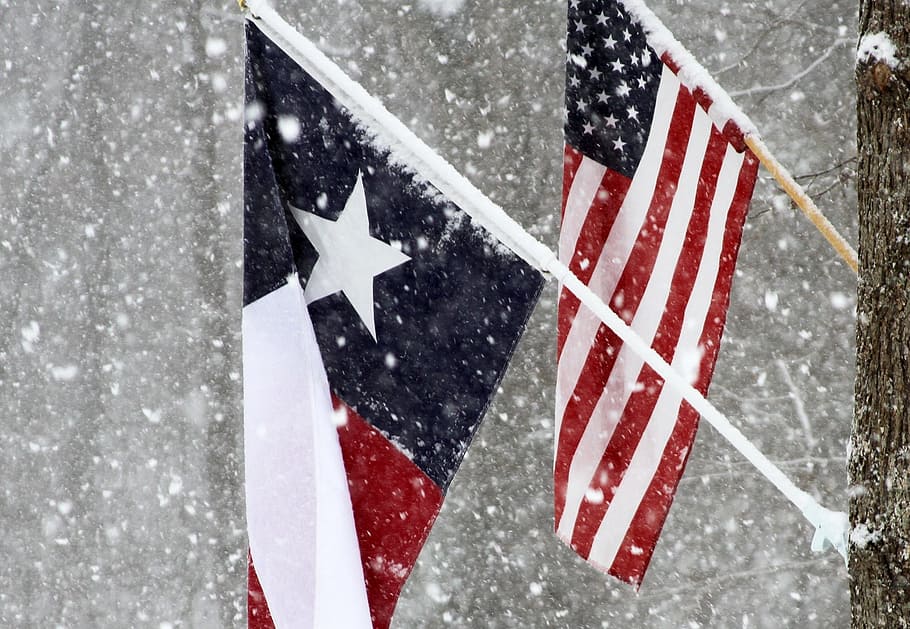 flag, texas, america, hanged, tree, usa, state, symbol, united, star