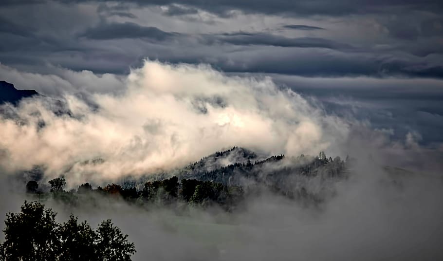 積雲の雲, 周囲, 山, 高原, 風景, 木, 森, 自然, 雲, 空