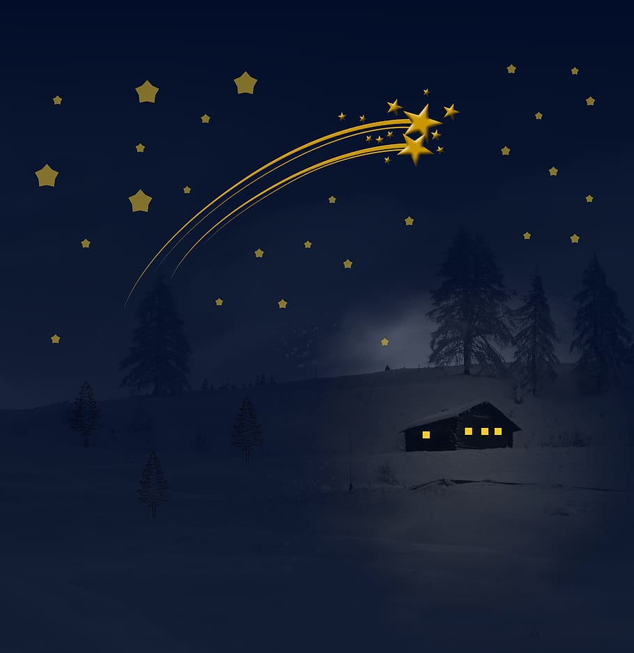 falling, stars, house illustration, winter, wintry, snow, snowy, landscape, cold, tree