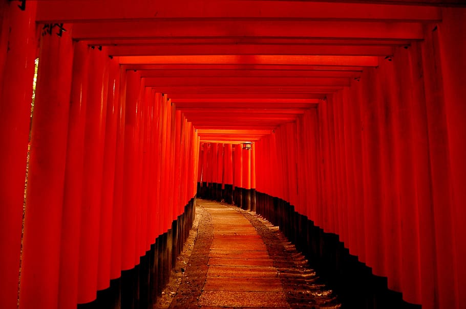 any person not, stage, wood, building, kyoto, torii, red, gradient, road, unattended