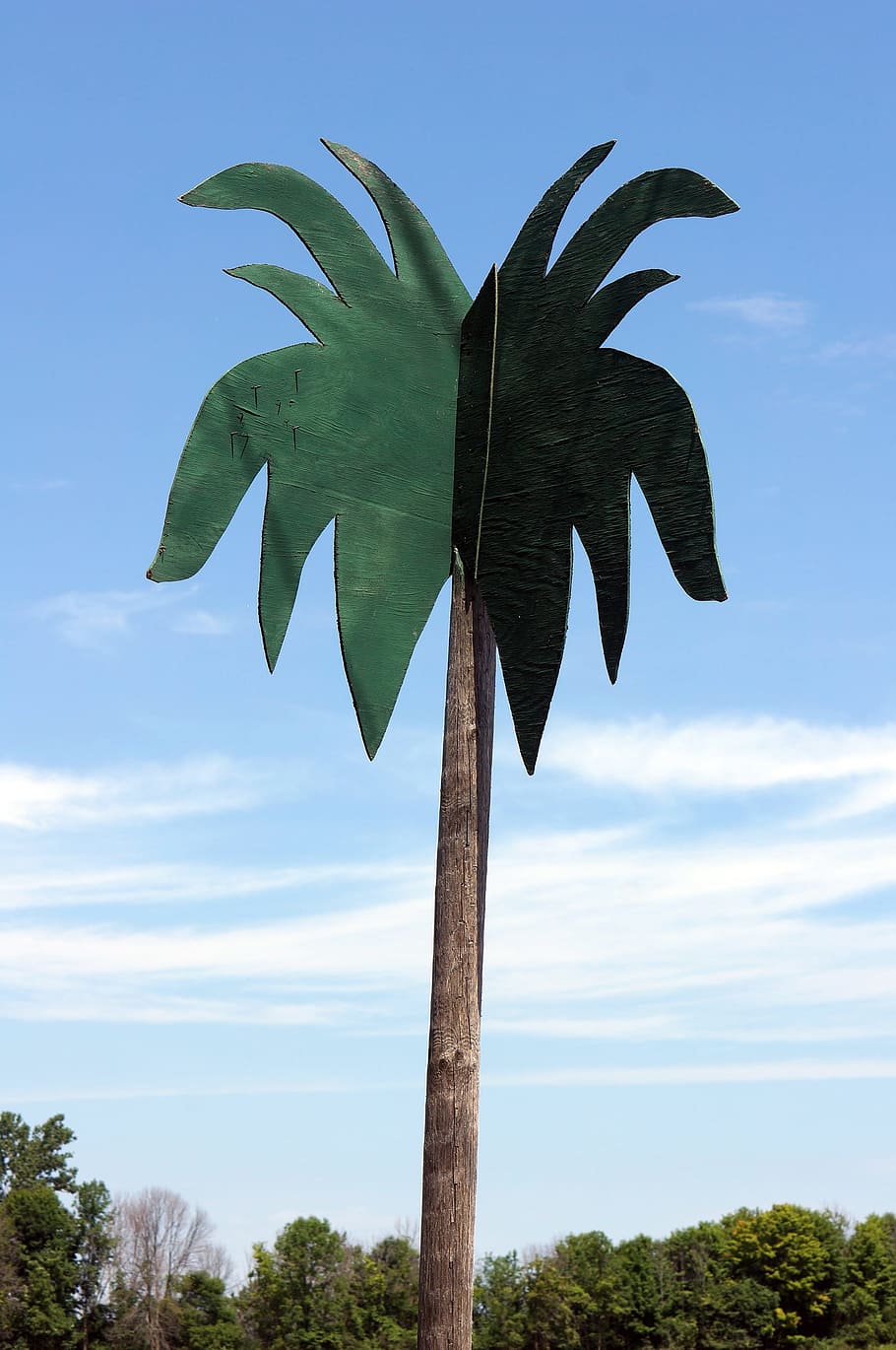 Fake tree. Верхушка пальмы. Древесина из пальмы. Пальма столб. Пальма из дерева.
