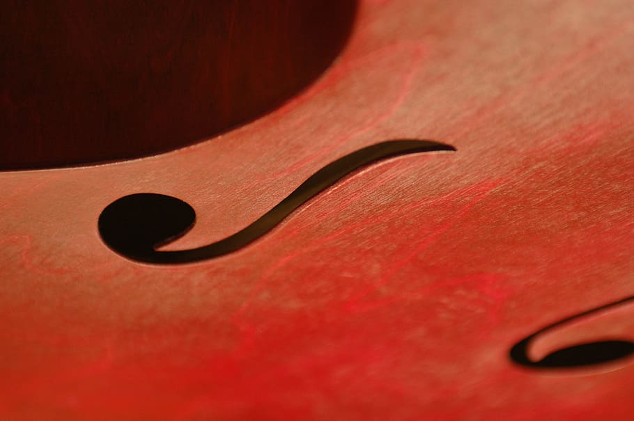 closeup, music notes, red, background, instruments, bass, cello, curves, music, violin