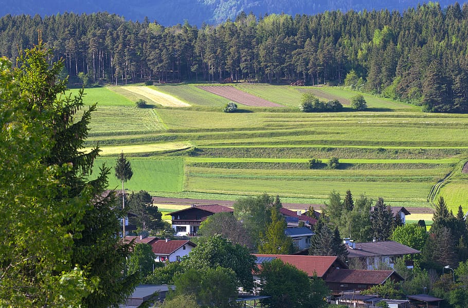 paisaje austríaco, cultivo, agricultura, colina, primavera, natters, árbol, planta, paisaje, pintorescos - naturaleza