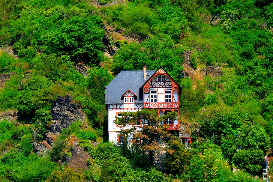 house, mountain, landscape, nature, rhine valley, mountainside, steep, forest, scenic, trees