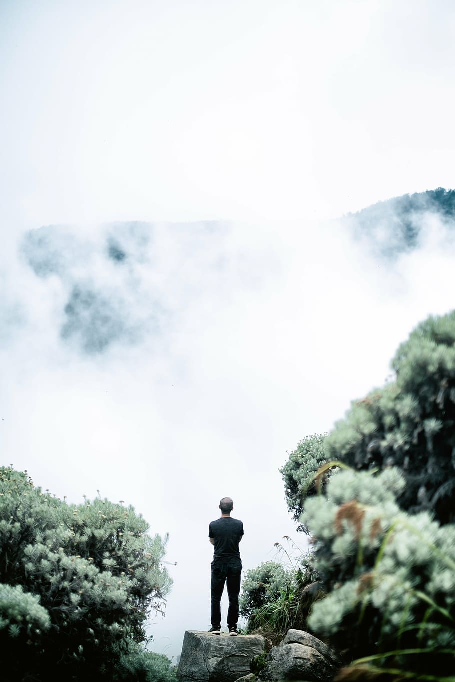 man, standing, rock, mountain, top, flowers, plants, clouds, cold, people