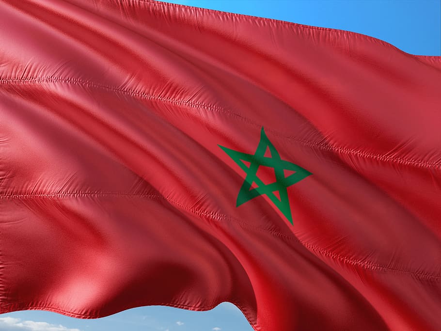 international, flag, morocco, north africa, red, leaf, patriotism, textile, green color, close-up