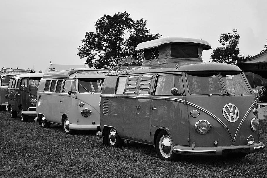 grayscale photography, three, volkswagen samba, parked, green, tree, vw camper, vintage, car, vw