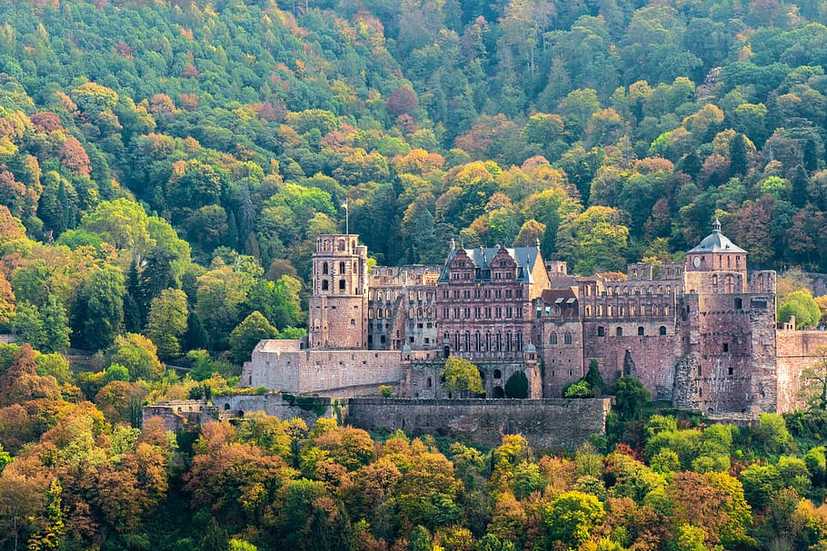 Heidelberg, kastil, secara historis, tempat menarik, jerman, pohon, tanaman, arsitektur, struktur yang dibangun, masa lalu