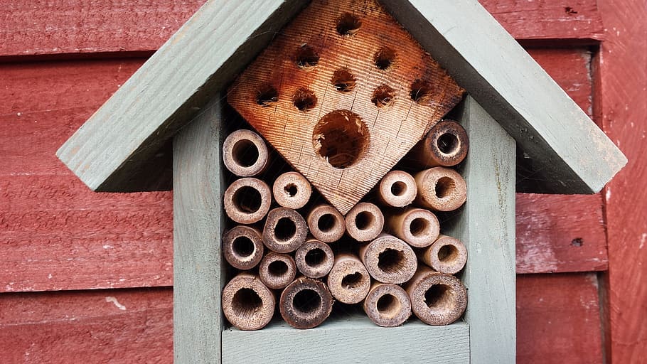 natural, bees, wood, garden, nature, hive, insect, apiary, wood - material, brown