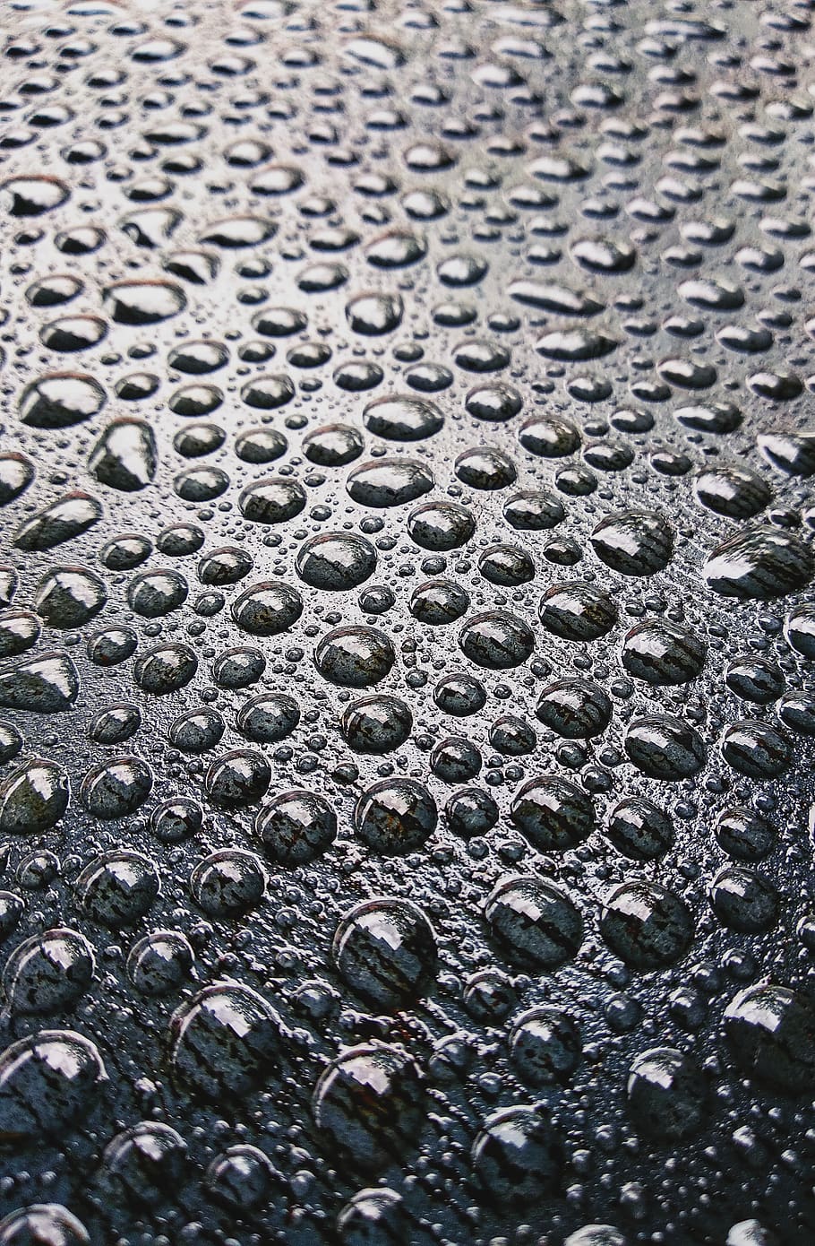 rain drops, water drops, drops, black and white, rain, water, wet, liquid, raindrop, drop