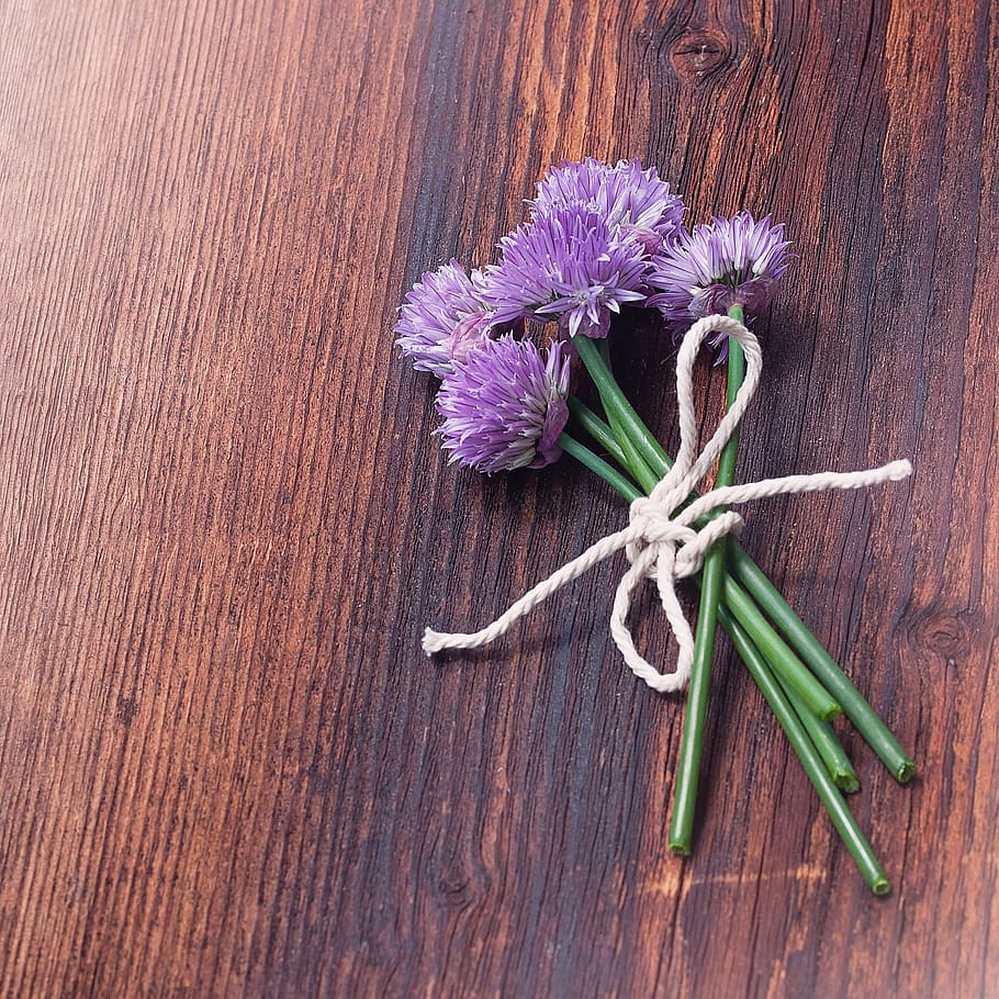 chives, blossom, bloom, federal government, chive flowers, purple, wood, bound, close, flower