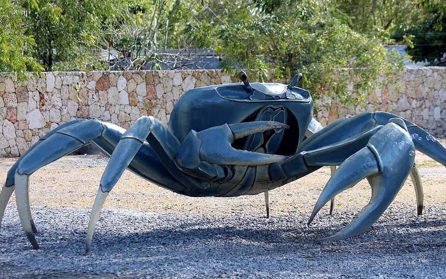 crab, sculpture, iron, pincers, plant, day, absence, nature, seat, sunlight