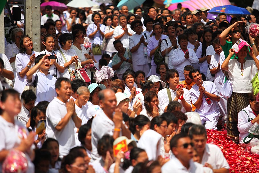 Budistas, Rezando, Pessoas, Multidão, Tailândia, Tailandês, tradição, cerimônia, Ásia, grande grupo de pessoas