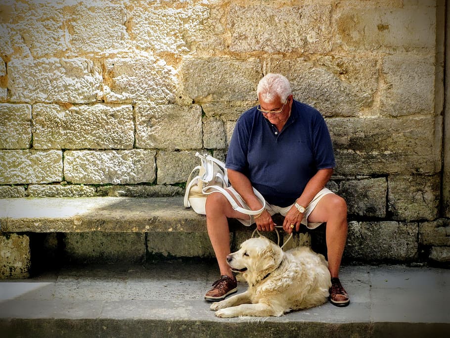 man, sitting, gray, concrete, bench, holding, pet leash, dog, company, grandfather