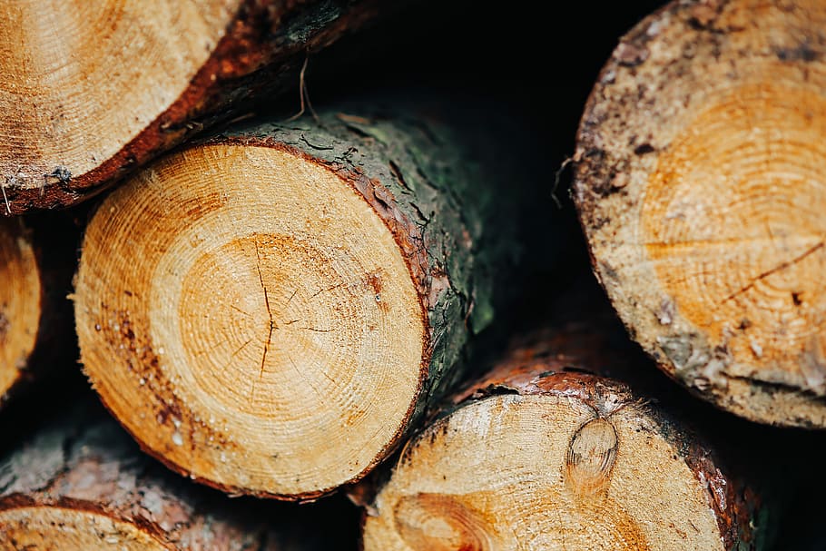 pared de troncos de madera, madera, troncos, pared, otoño, madera - material, árbol, industria maderera, leña, registro