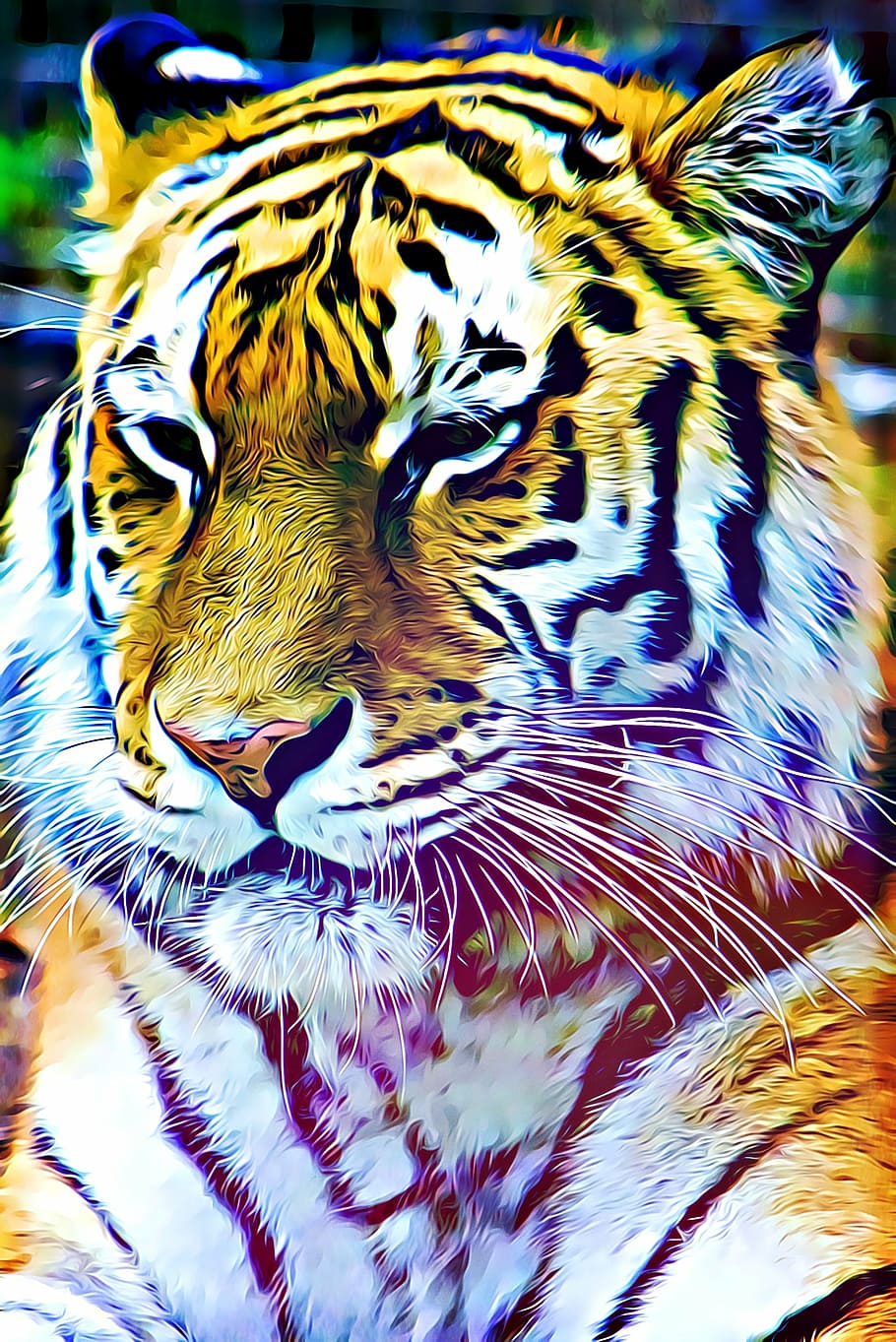 brown tiger, digital, graphics, tiger, striped, is watching, animal, nature, fauna, predator