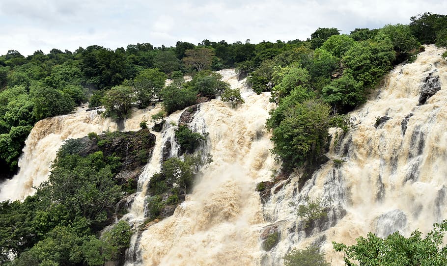 bharachukki, waterfall, waterfalls, cauvery, nature, tourist, falls, green, flowing, karnataka
