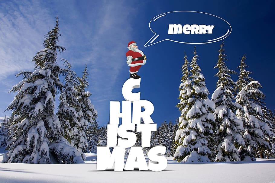 pinos, cubierta, nieve, feliz, ilustración de navidad, invierno, bosque, pino, nicholas, santa claus