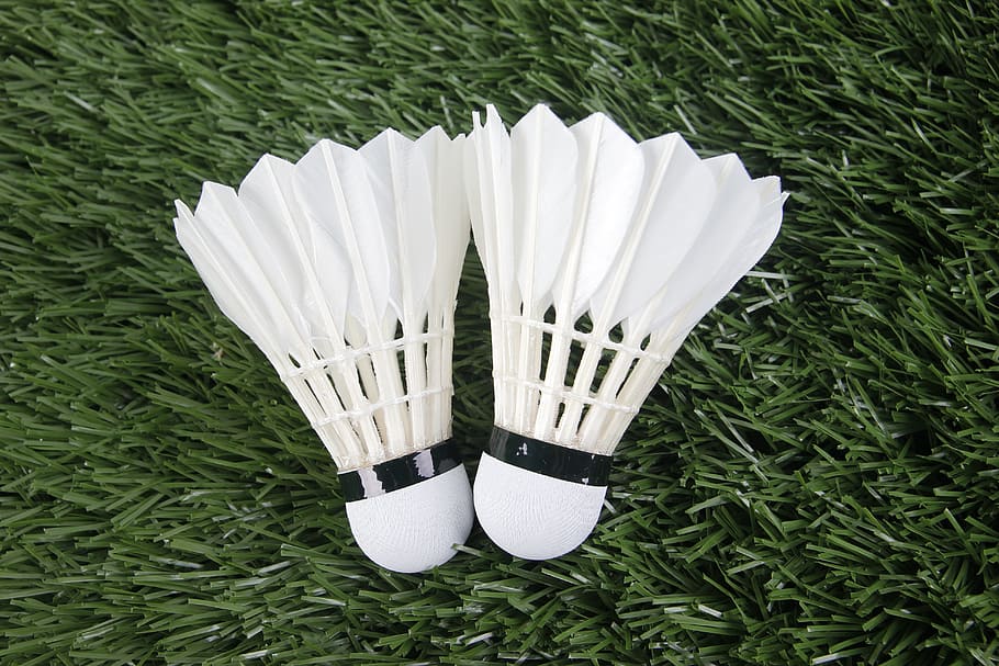 Badminton, Sport, Shuttlecock, high angle view, day, outdoors, close-up, plant, white color, grass