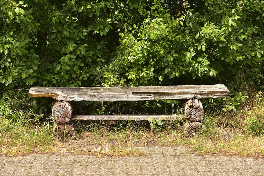 brown, wooden, bench, green, bushes, Bank, Old, Seat, Sit, Rest