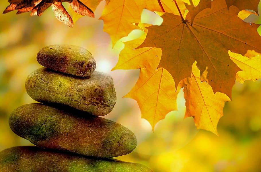 four, brown, stones formation, meditation, balance, rest, autumn, tree, trees, leaves